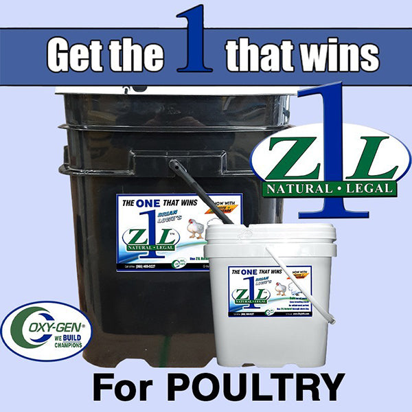 Oxygen Z1L